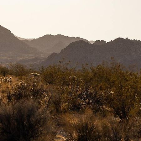 Panoramic Heaven - Luxury Designer Property W Spa Joshua Tree Exteriör bild