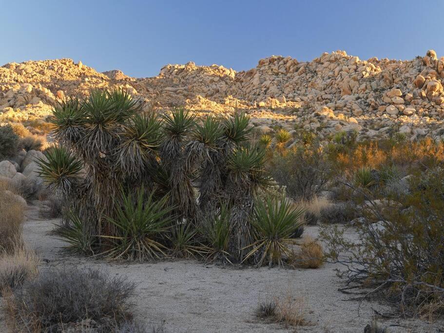 Panoramic Heaven - Luxury Designer Property W Spa Joshua Tree Exteriör bild