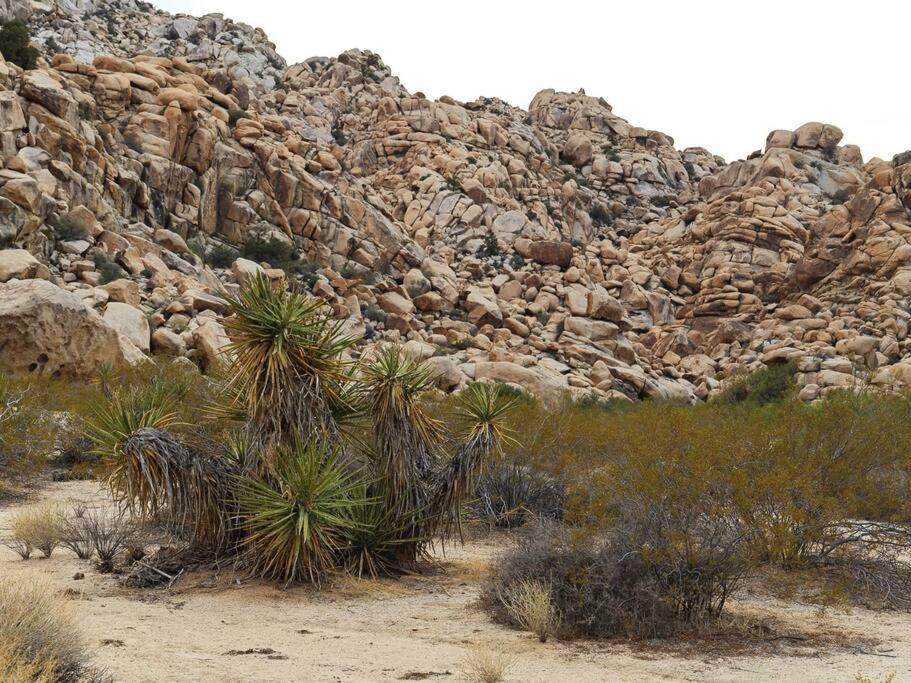 Panoramic Heaven - Luxury Designer Property W Spa Joshua Tree Exteriör bild