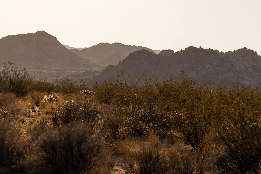 Panoramic Heaven - Luxury Designer Property W Spa Joshua Tree Exteriör bild