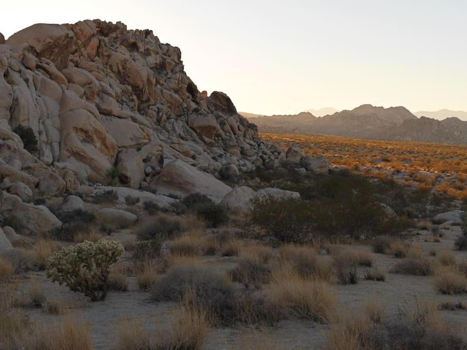 Panoramic Heaven - Luxury Designer Property W Spa Joshua Tree Exteriör bild