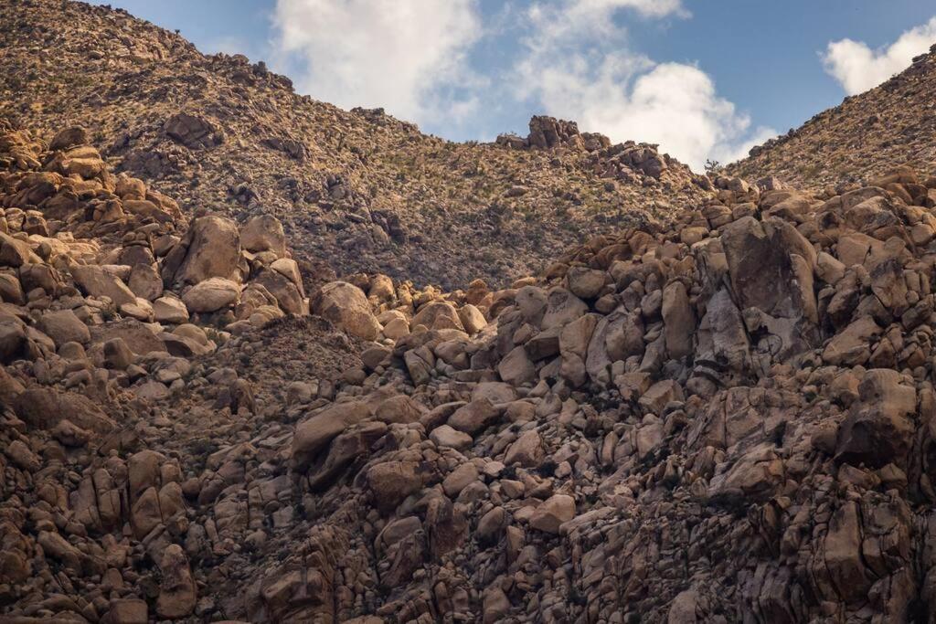 Panoramic Heaven - Luxury Designer Property W Spa Joshua Tree Exteriör bild